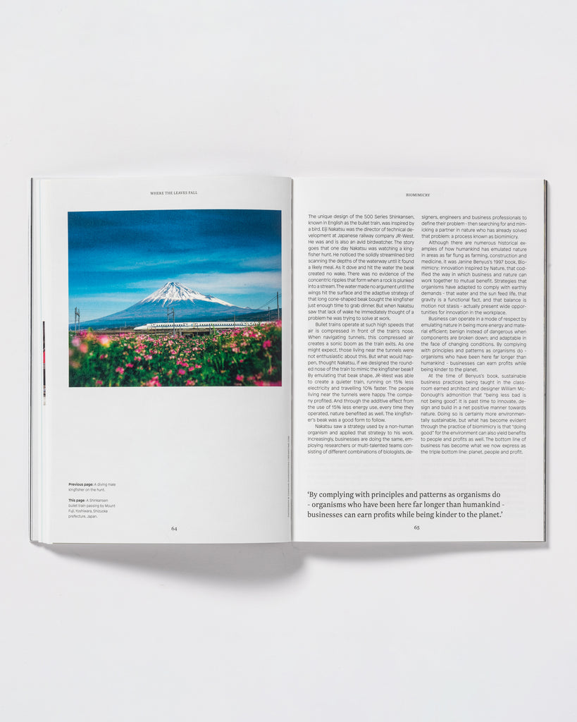 Where the leaves fall Magazin aufgeschlagen vor weißem Hintergrund.